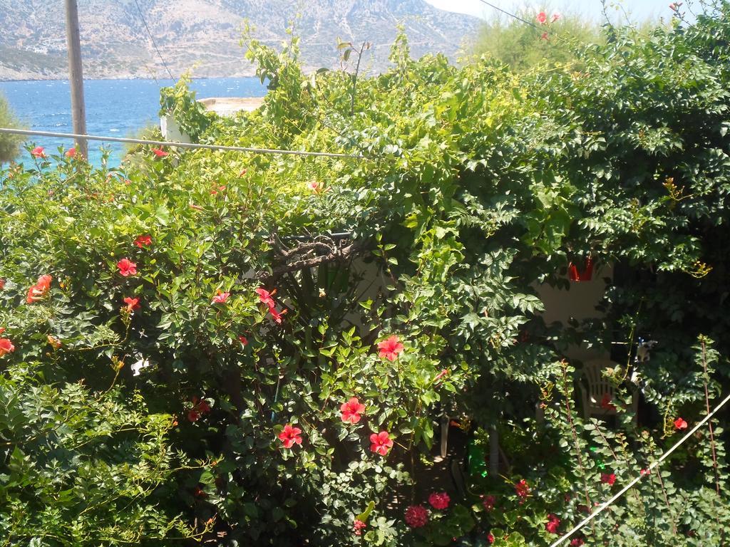 Costareli Aparthotel Fourni Ikarias Luaran gambar